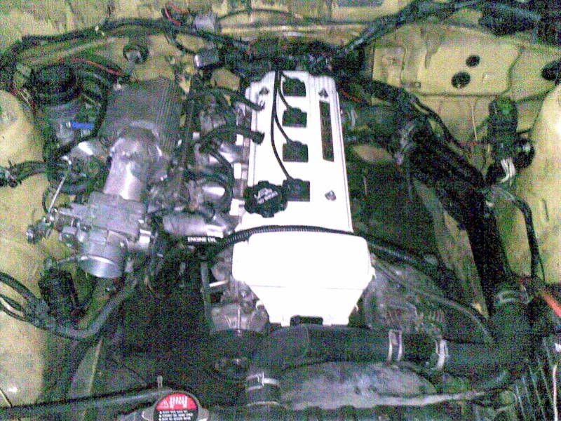 20052008003.jpg