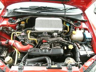944f8254.jpg