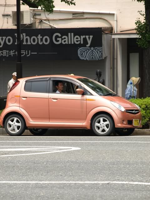 _6133581.jpg