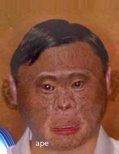 ape.jpg