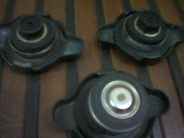 Capradiator1-1.jpg