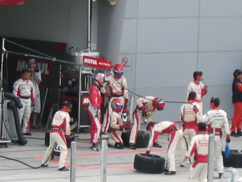 car6.jpg