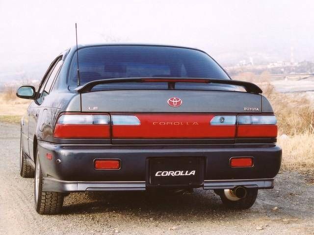 chinta_05_1.jpg