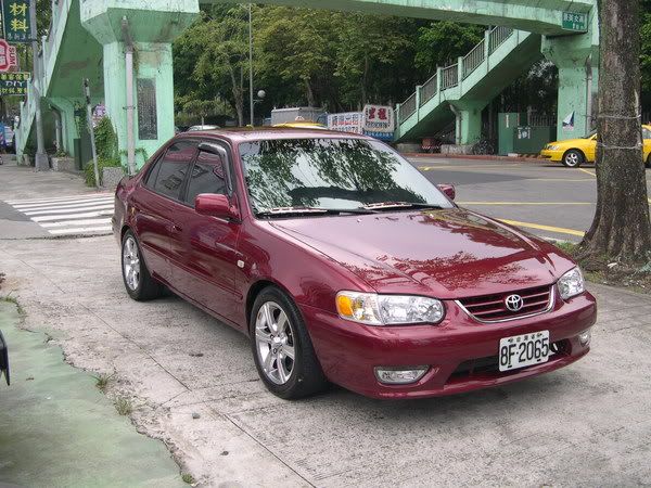 corollagoa2.jpg