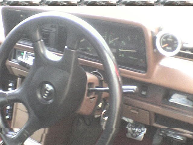 DSC00024.jpg