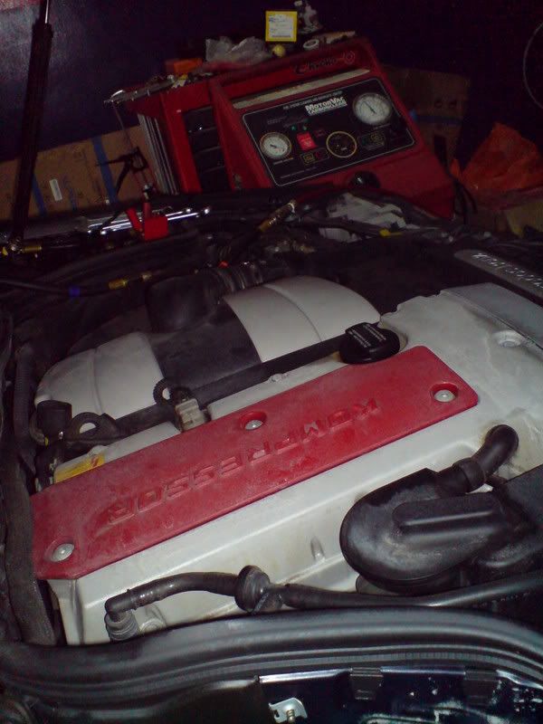 DSC00353.jpg