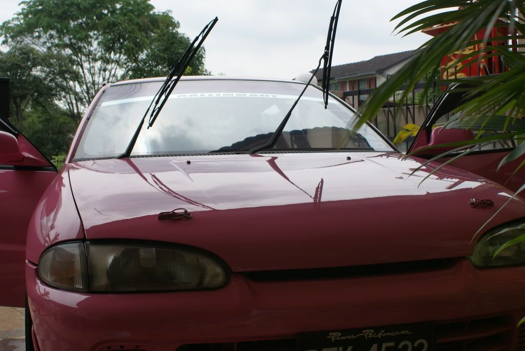 DSC00421.jpg