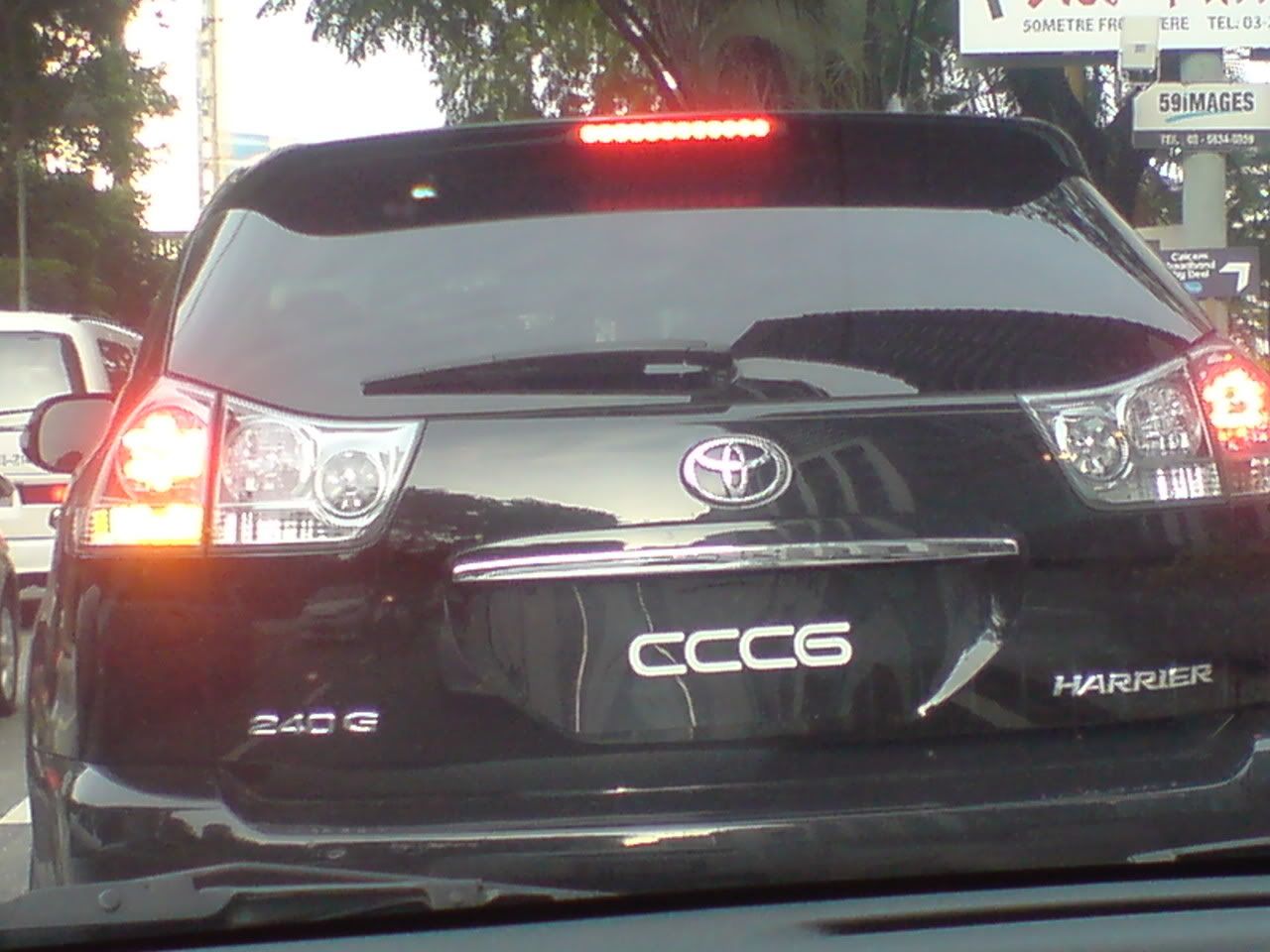 DSC00551.jpg