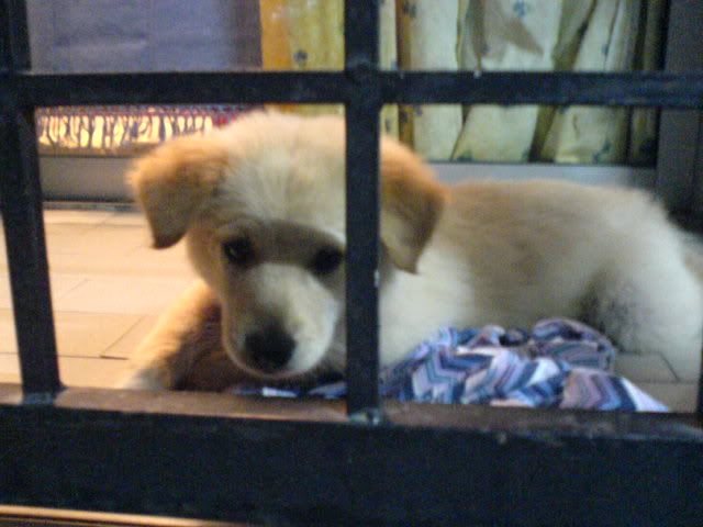 DSC00855.jpg