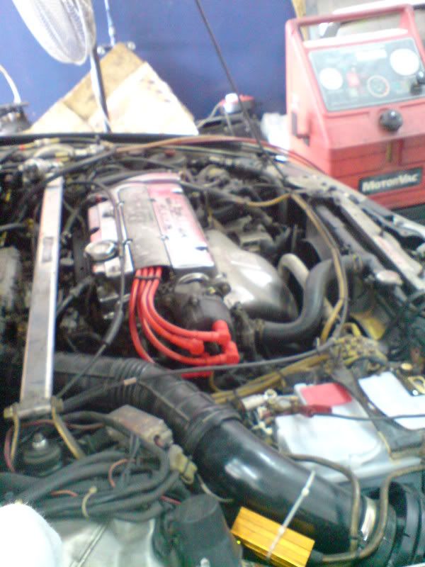 DSC01000.jpg