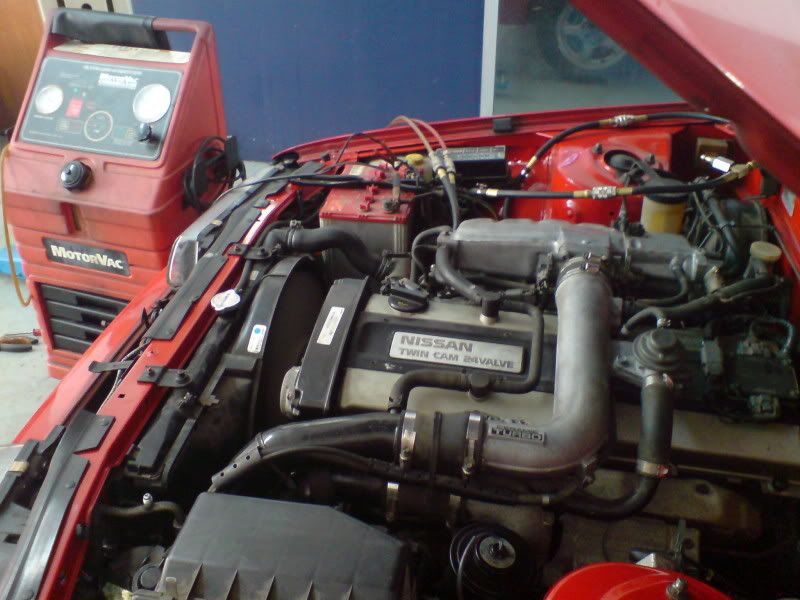 DSC01113.jpg