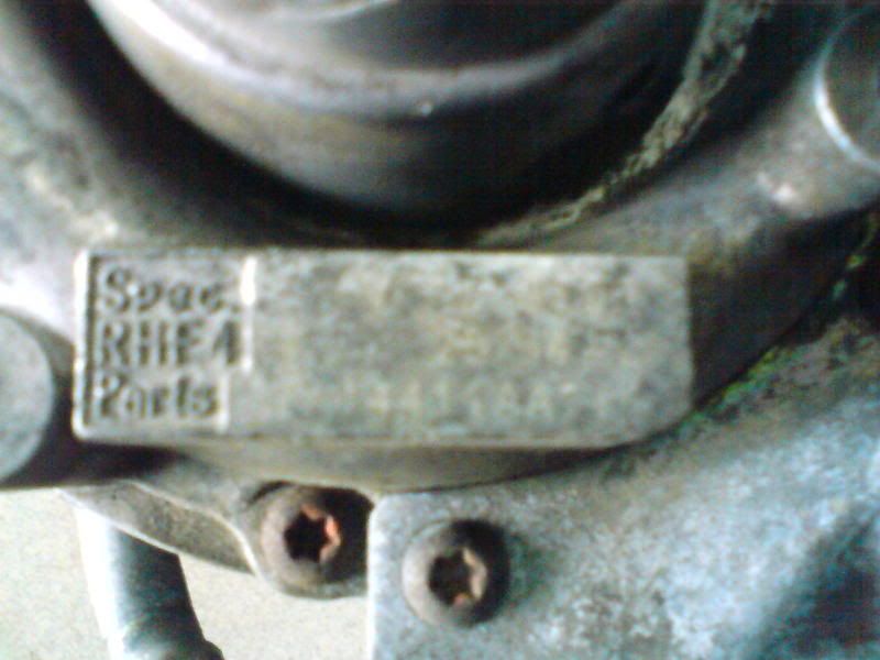 DSC01491.jpg