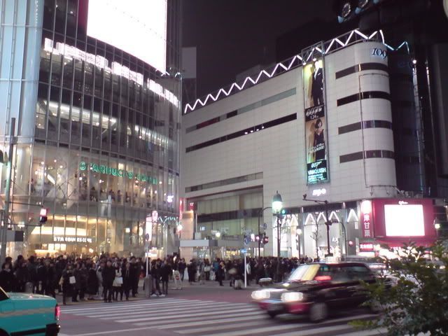 DSC01842.jpg