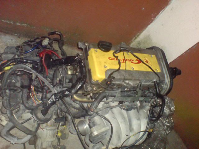 DSC02167.jpg