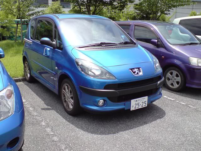 DSC02585.jpg