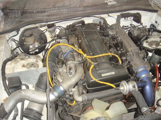 DSC02697.jpg