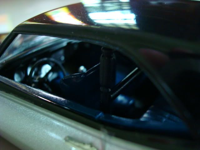 DSC02732.jpg