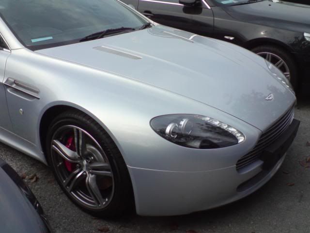 DSC02764.jpg