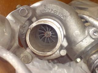 DSC06687.jpg