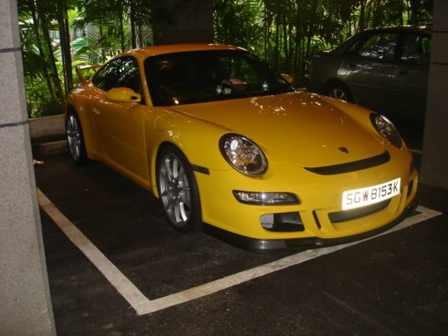 DSC07451.jpg