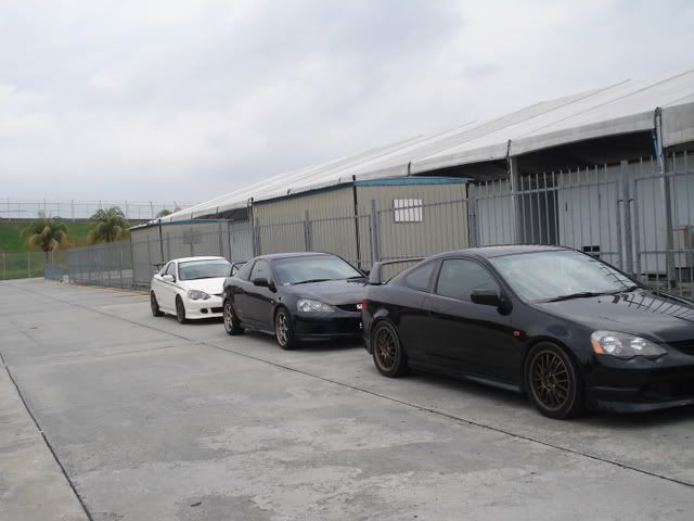 DSC08935.jpg