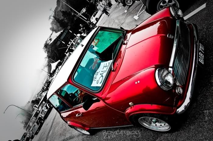 DSC_0162.jpg