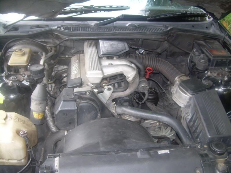 DSCN0679.jpg