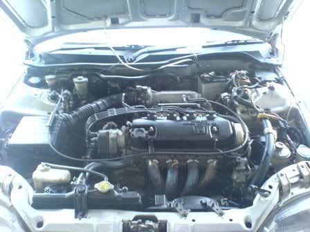 enginebay.jpg