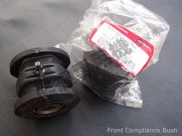 FrontComplianceBush.jpg