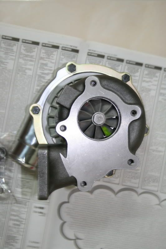 GarrettT3T4Backview.jpg