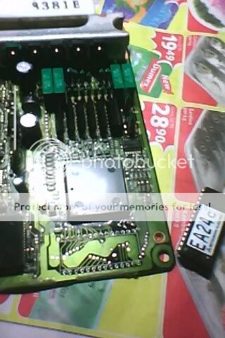 IMG0145A.jpg