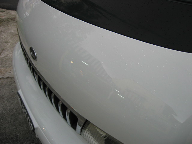 IMG_0175.jpg