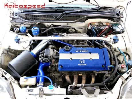 IMG_2652.jpg