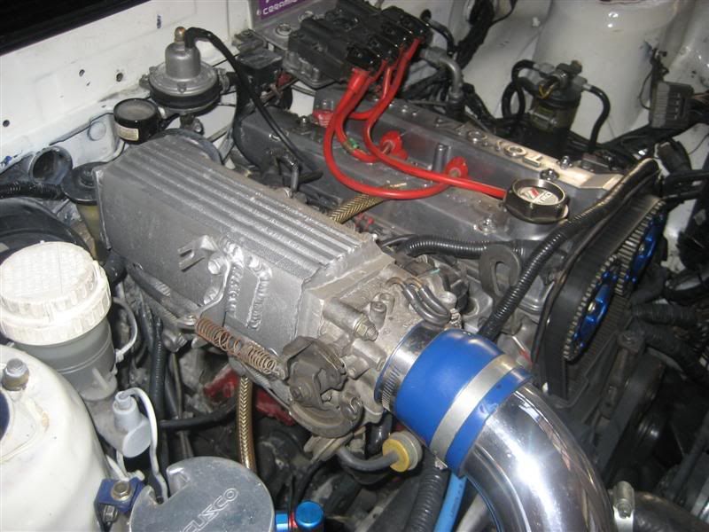 IMG_4693Medium.jpg