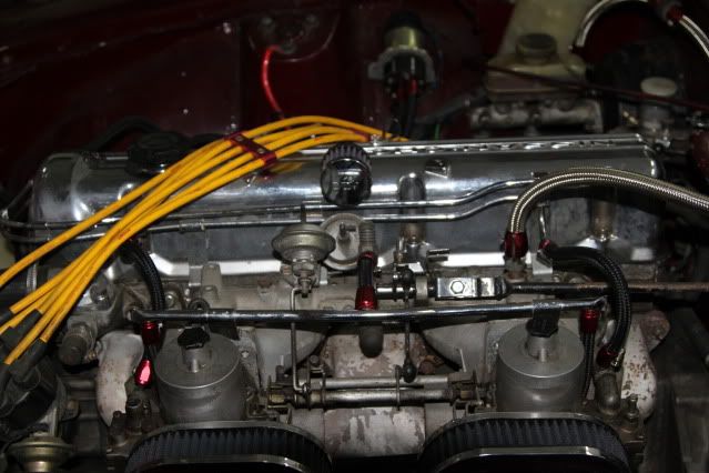 ladyZ079.jpg