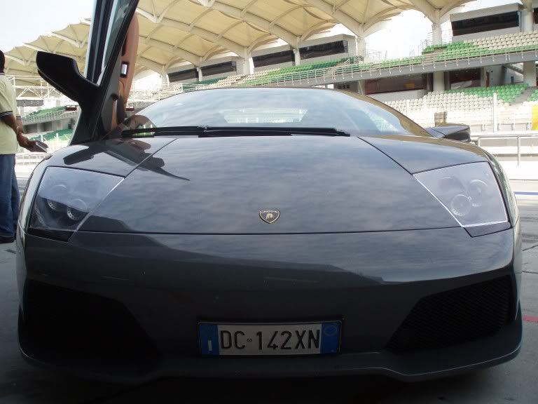 lambo16.jpg