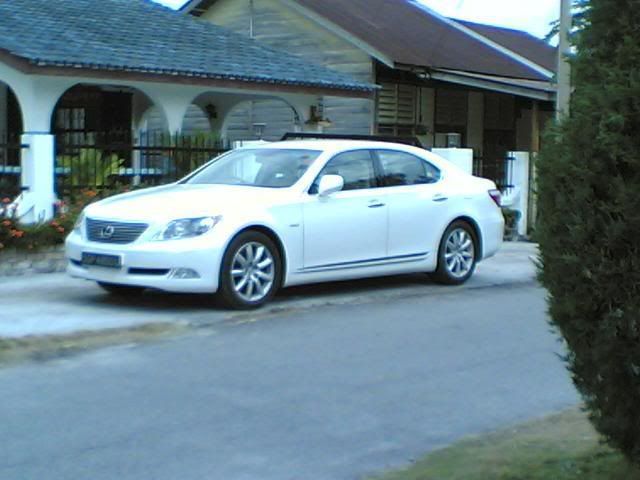 lexus.jpg