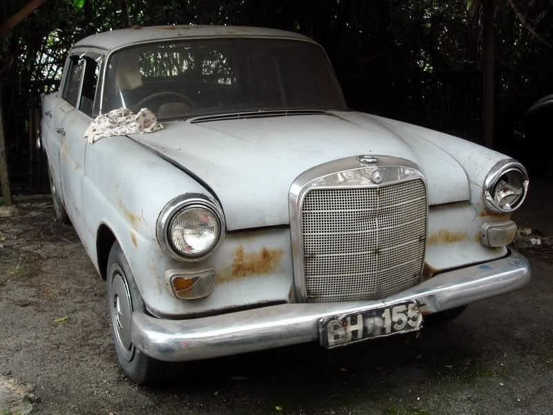 merc3_2.jpg