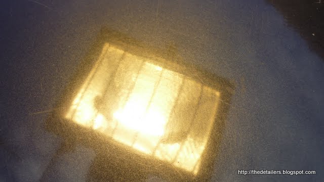 P1070442.jpg