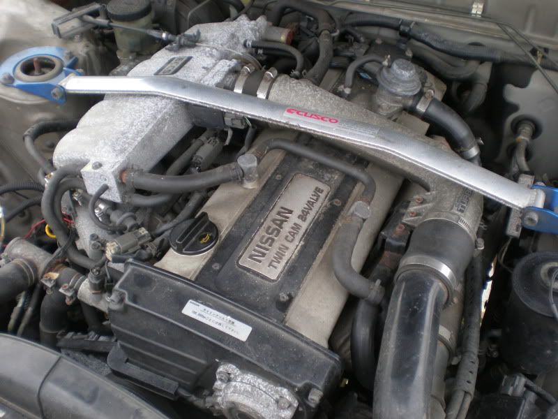 P5260055.jpg