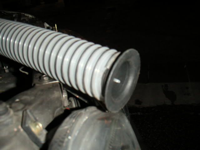 PICT12.jpg
