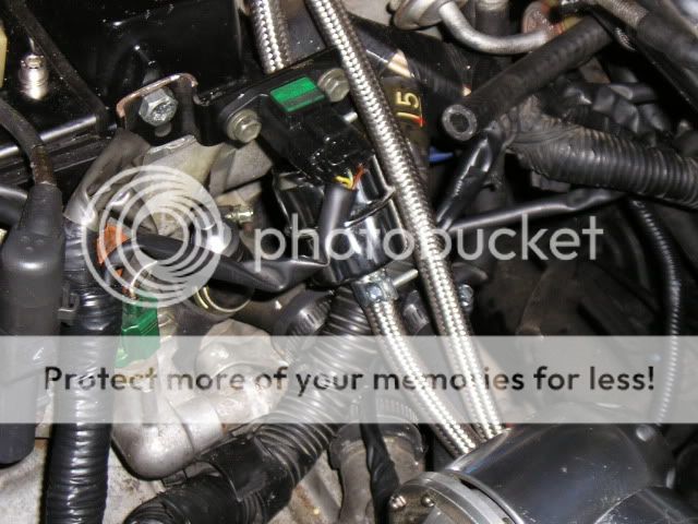 Picture005.jpg