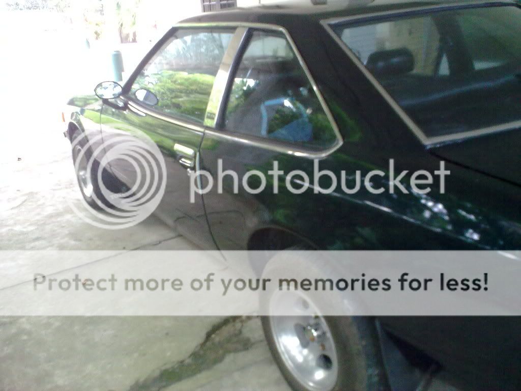 Picture007.jpg