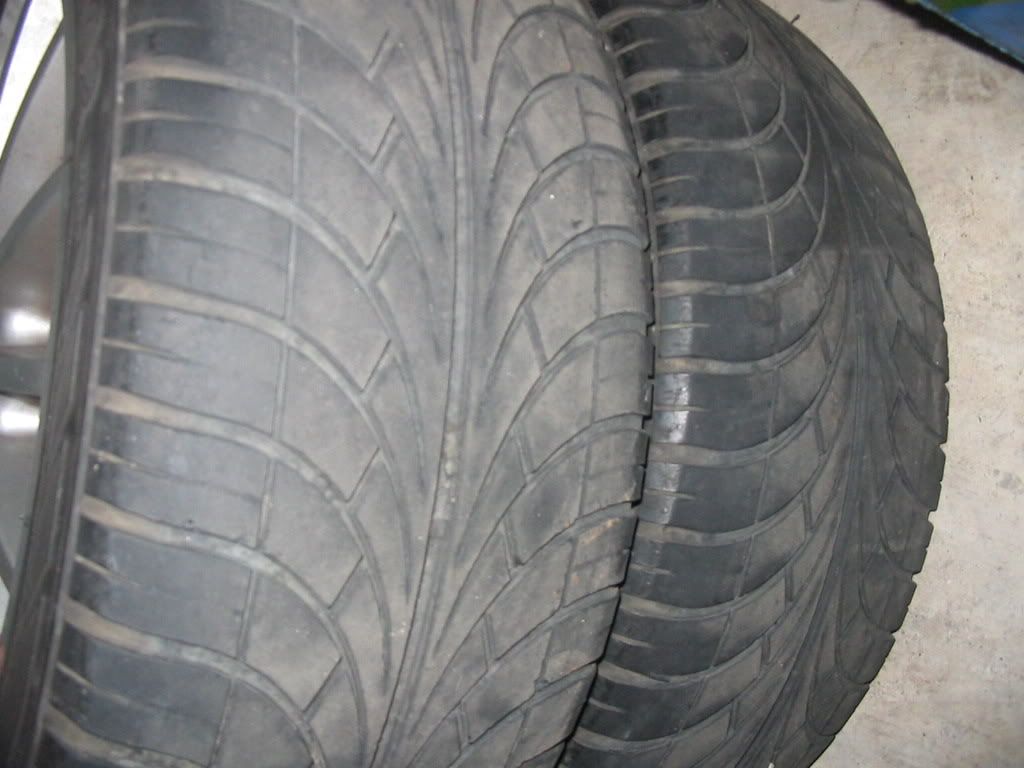 Picture014.jpg