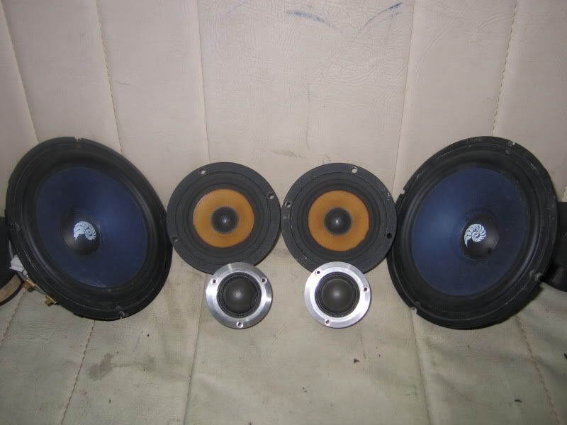 Picture429.jpg