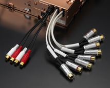 ProductsSubCategory_CD,717.jpg