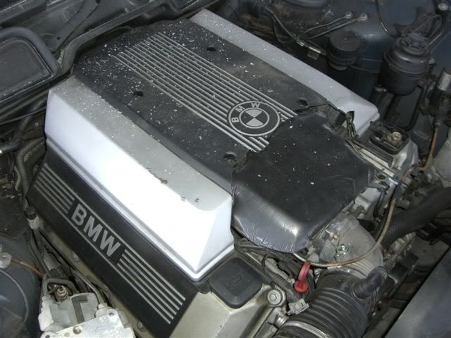 s004.jpg