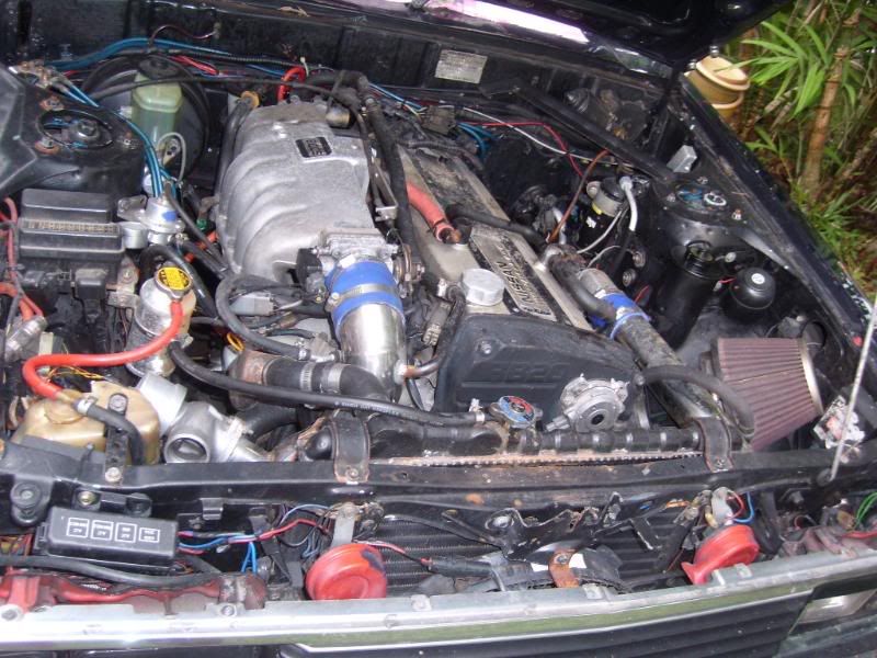 SL270035.jpg