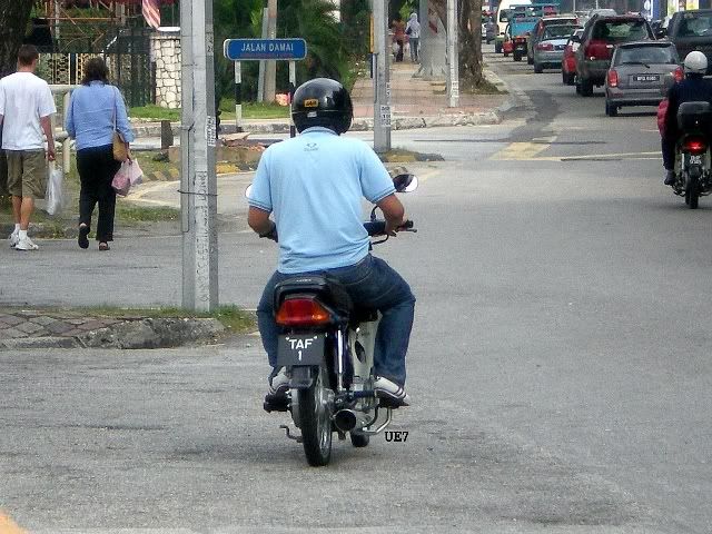 TAF1.jpg