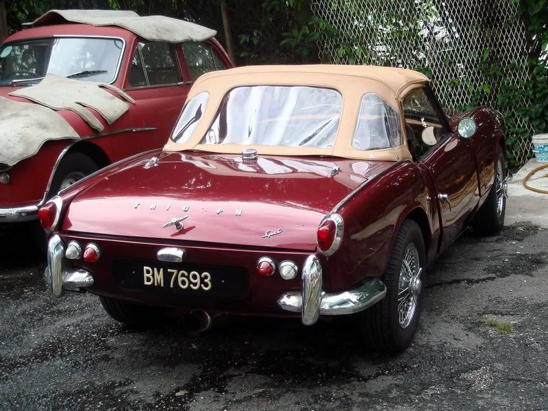 triumph1.jpg